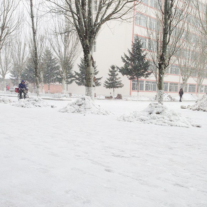 snow siping jilin - Ruth Silbermayr