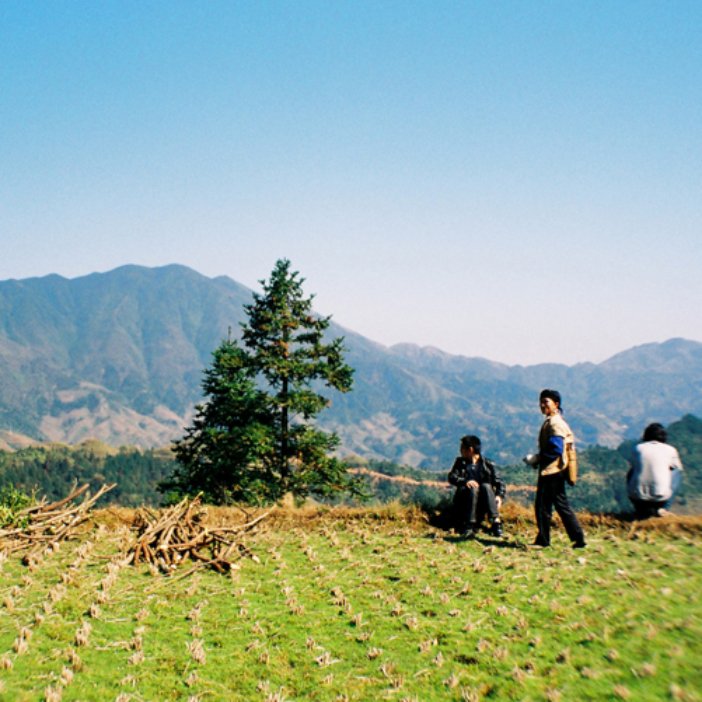 harvesting dragons backbone rice terraces - Ruth Silbermayr