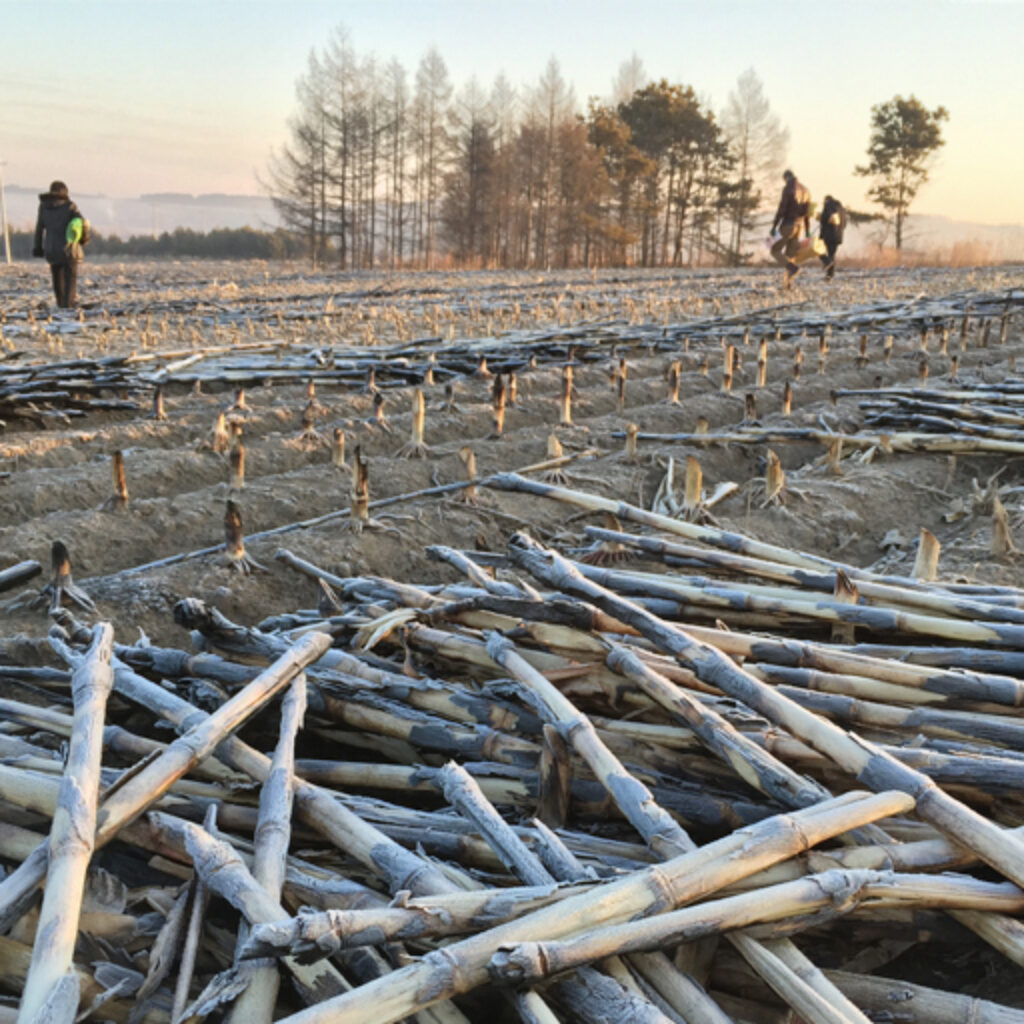 jilin countryside - Ruth Silbermayr “what do you do to worship your ancestors?”