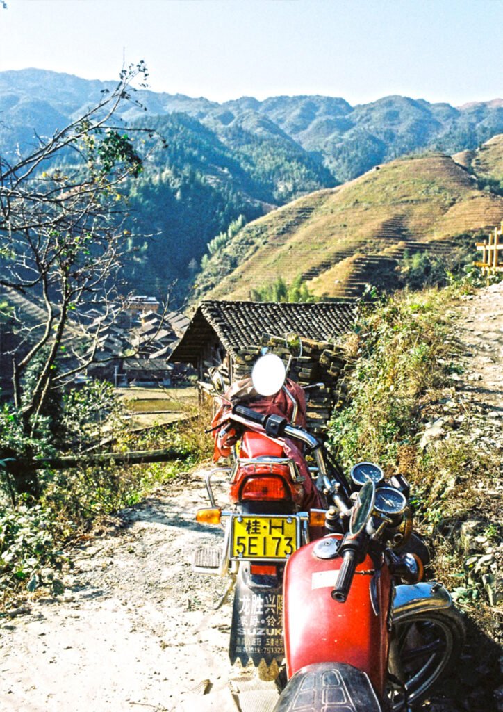 are harvesting dragons backbone rice terraces guangxi - Ruth Silbermayr