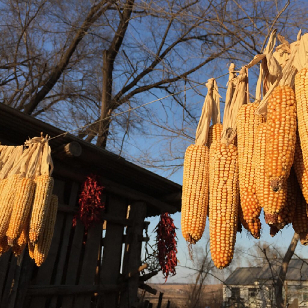 Jilin Province Countryside: Visiting Gugu in Northeast China’s Countryside (China Travel)