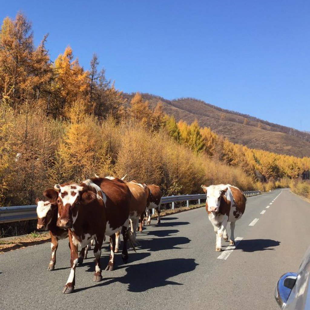 Arxan 阿尔山 内蒙古 Inner Mongolia - Ruth Silbermayr