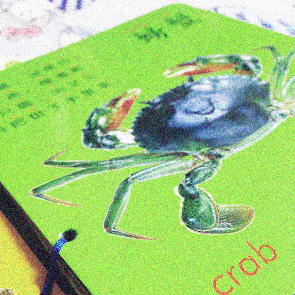 Chinese children's book - Ruth Silbermayr