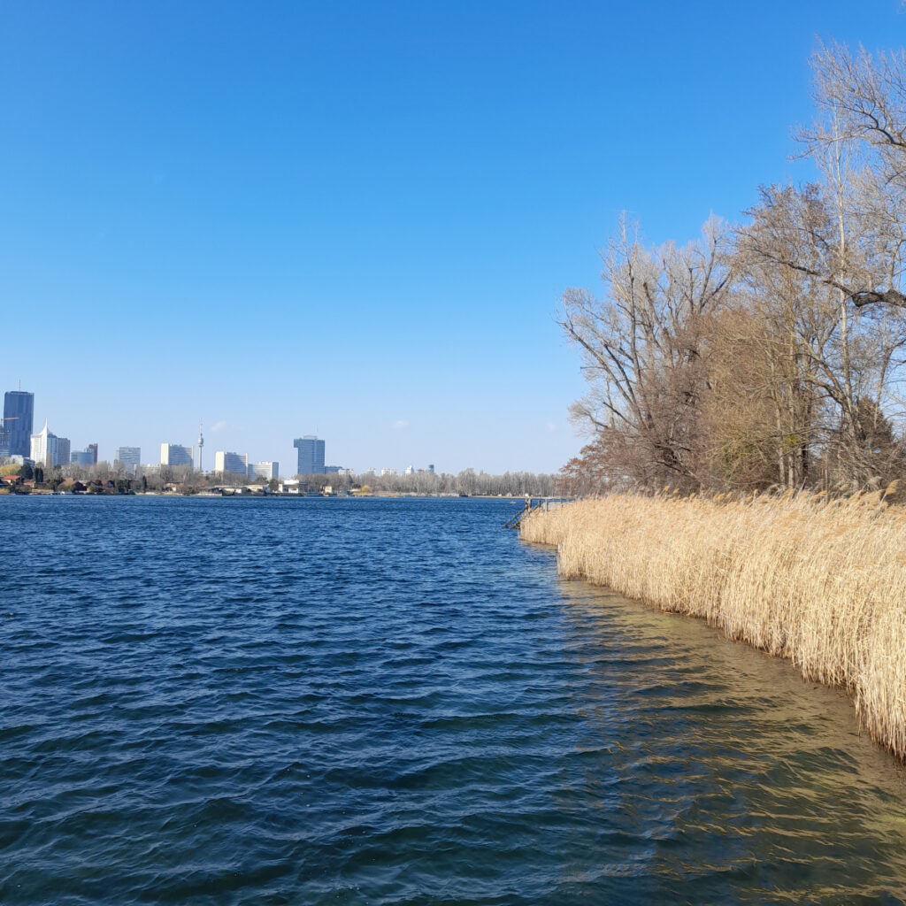 Danube, Vienna