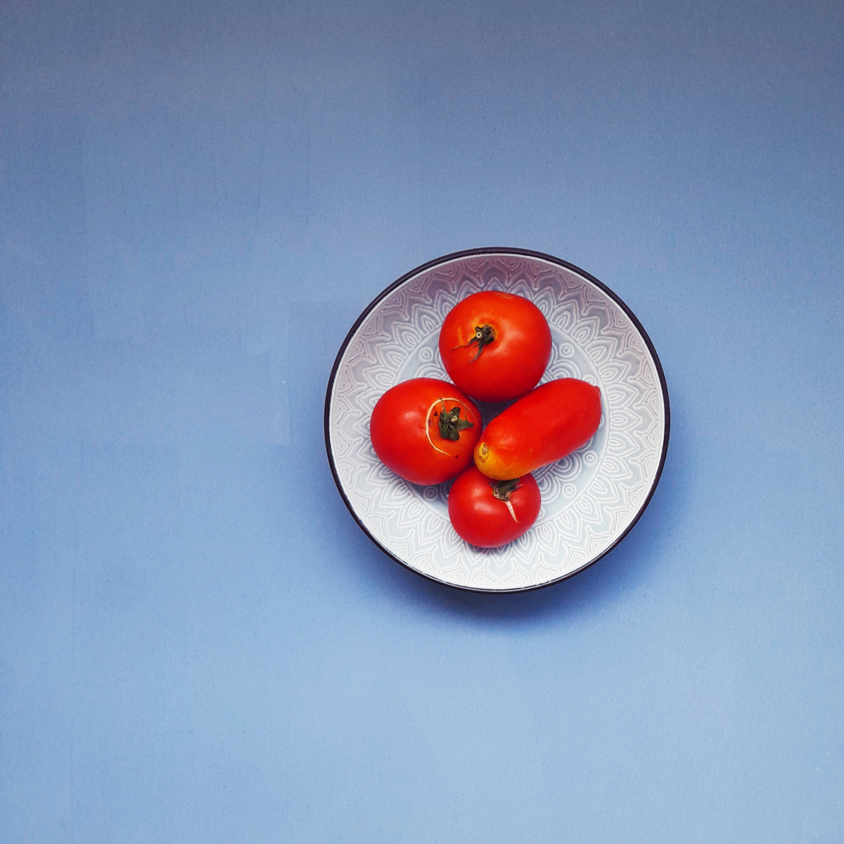 The beautiful tomatoes of Siping