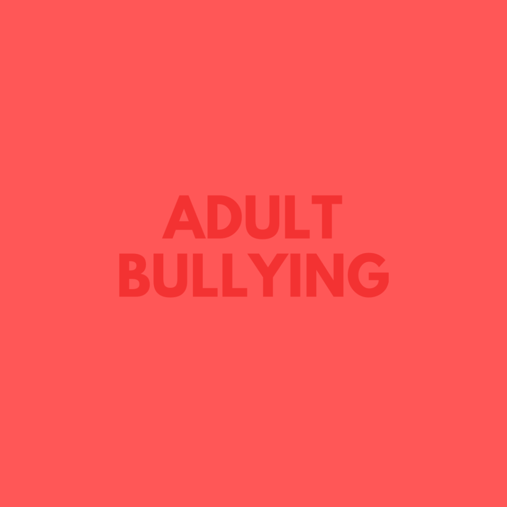 Portfolio Adult Bullying instagram