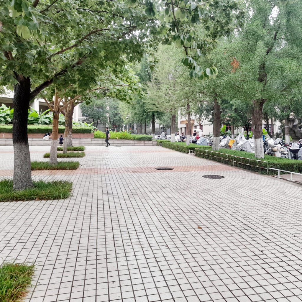 How I Prepared for My Move Within China