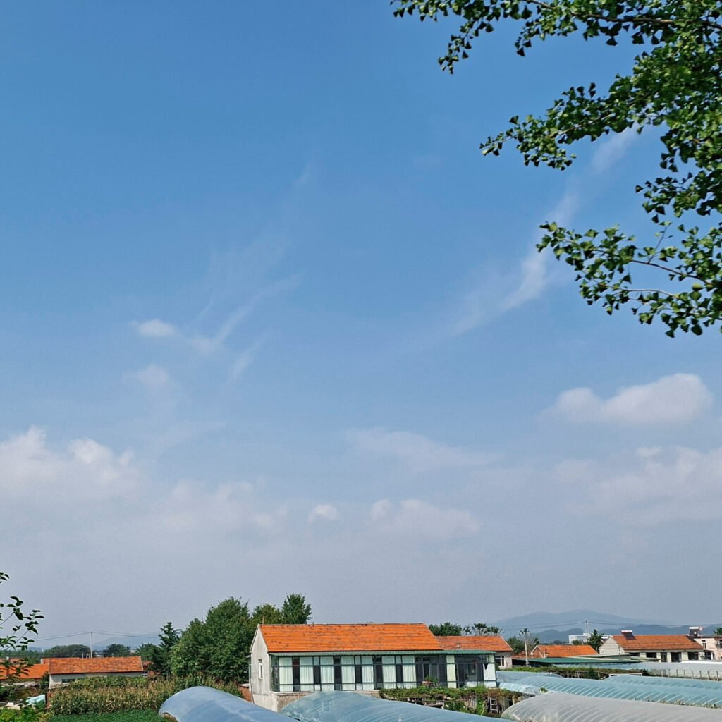Traveling in China: Essential Safety Tips, Seasonal Advice, and Language Considerations