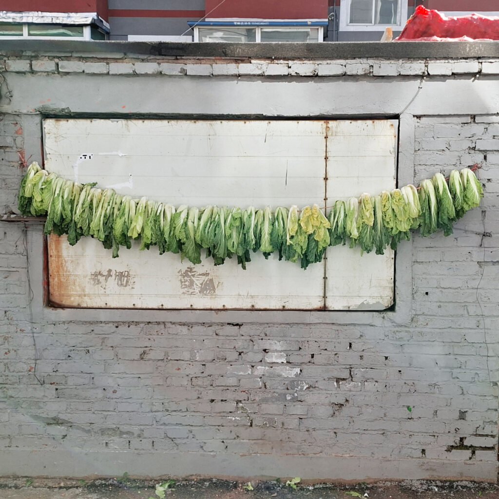 Chinese Cabbage, Spring Onions, and Live Frogs