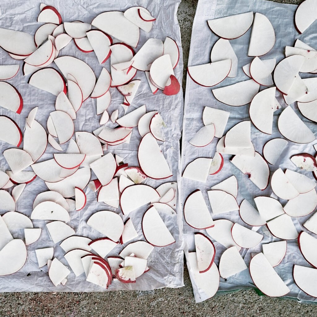 Chinese Cabbage, Spring Onions, and Live Frogs