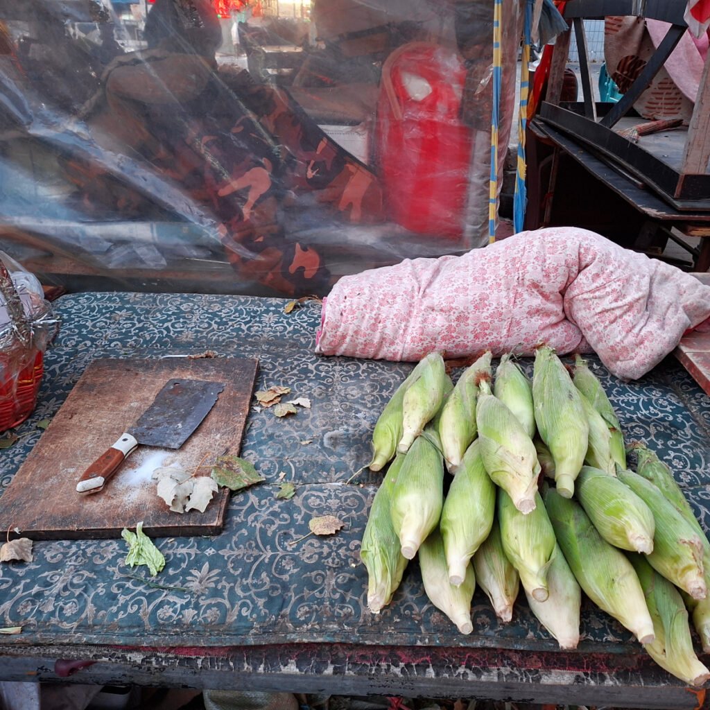 Chinese Cabbage, Spring Onions, and Live Frogs