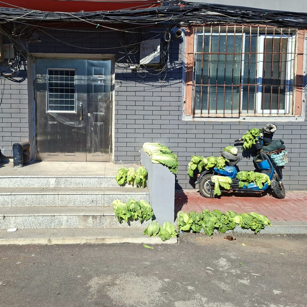 Chinese Cabbage, Spring Onions, and Live Frogs