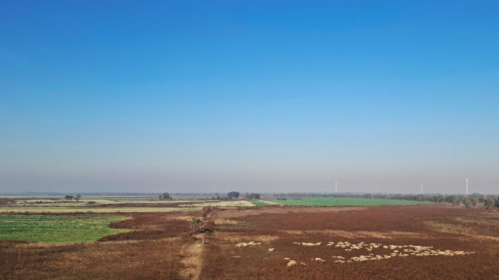 Photos from the Countryside in Northeast China