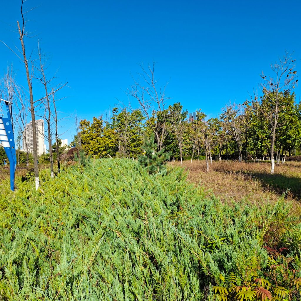 The Botanical Garden in Siping