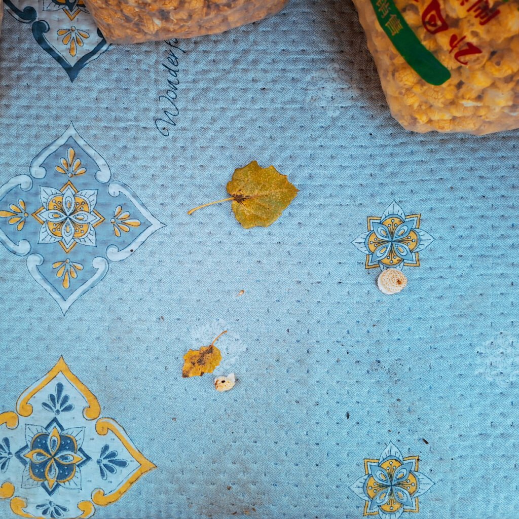 When Curiosity Meets Culture: My Encounters with Men Abroad