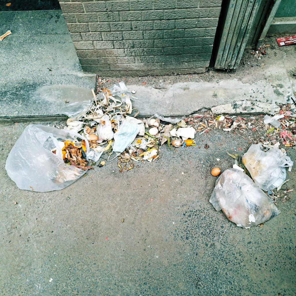 All the Garbage in Siping