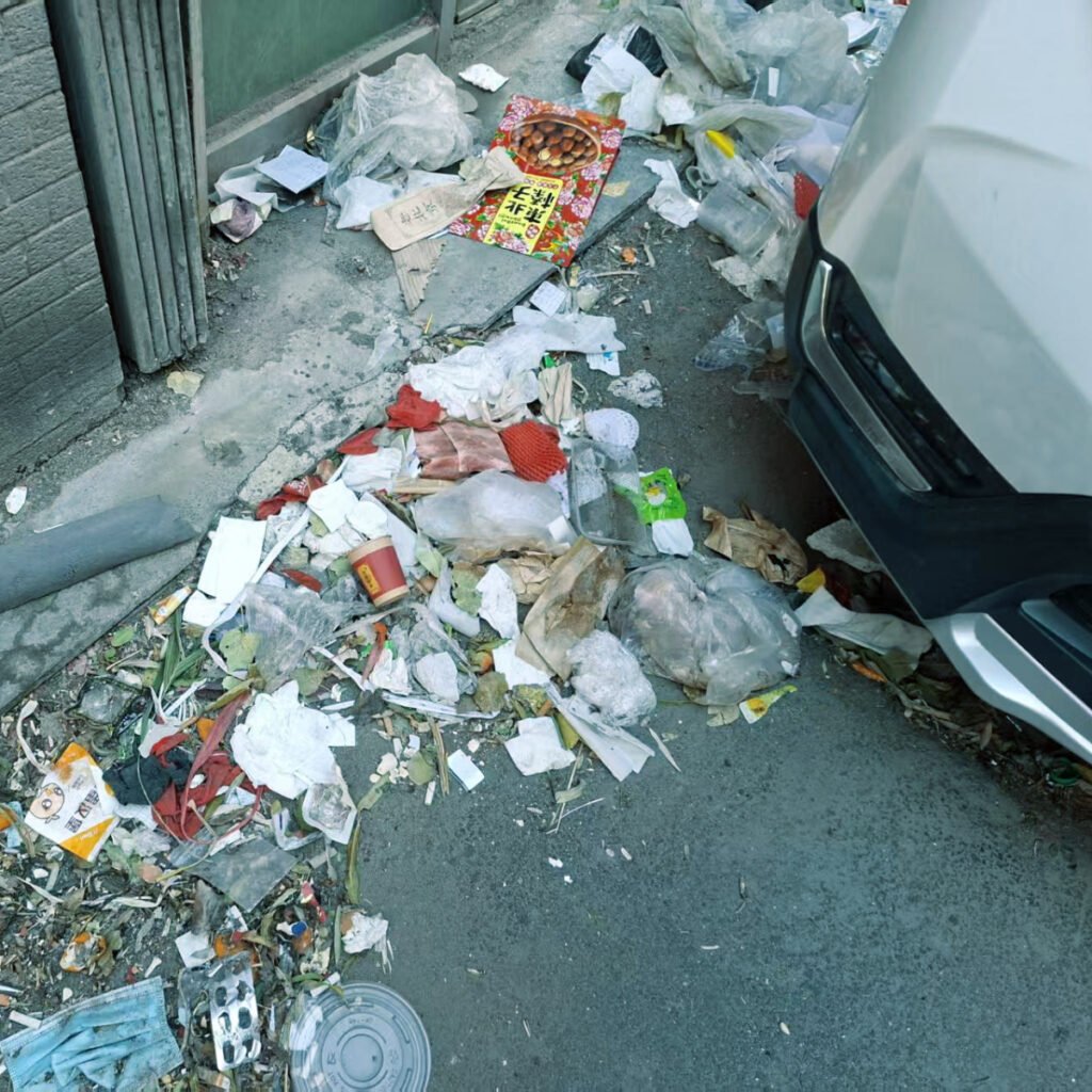 All the Garbage in Siping