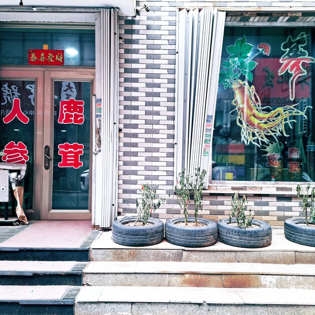 Ginseng Shops in Siping