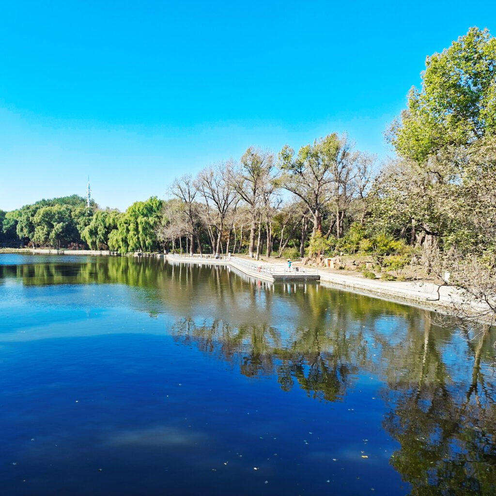 “He Was Suffering From Social Phobia”
