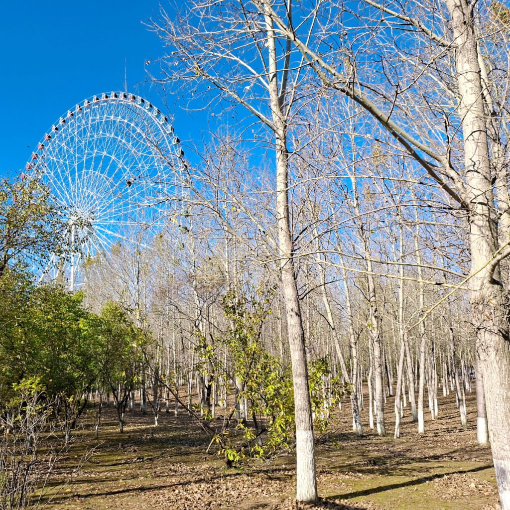 The Botanical Garden in Siping