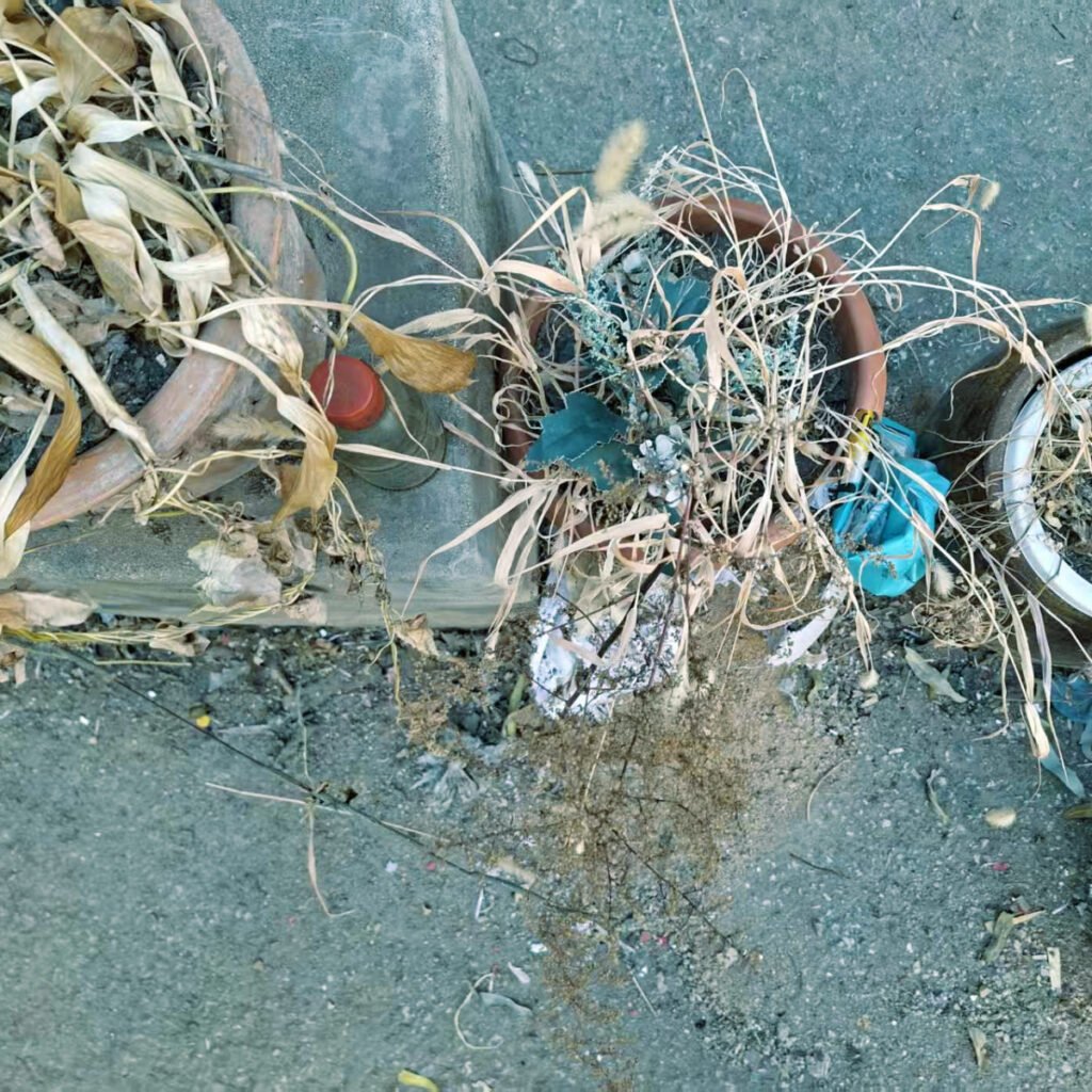 All the Garbage in Siping