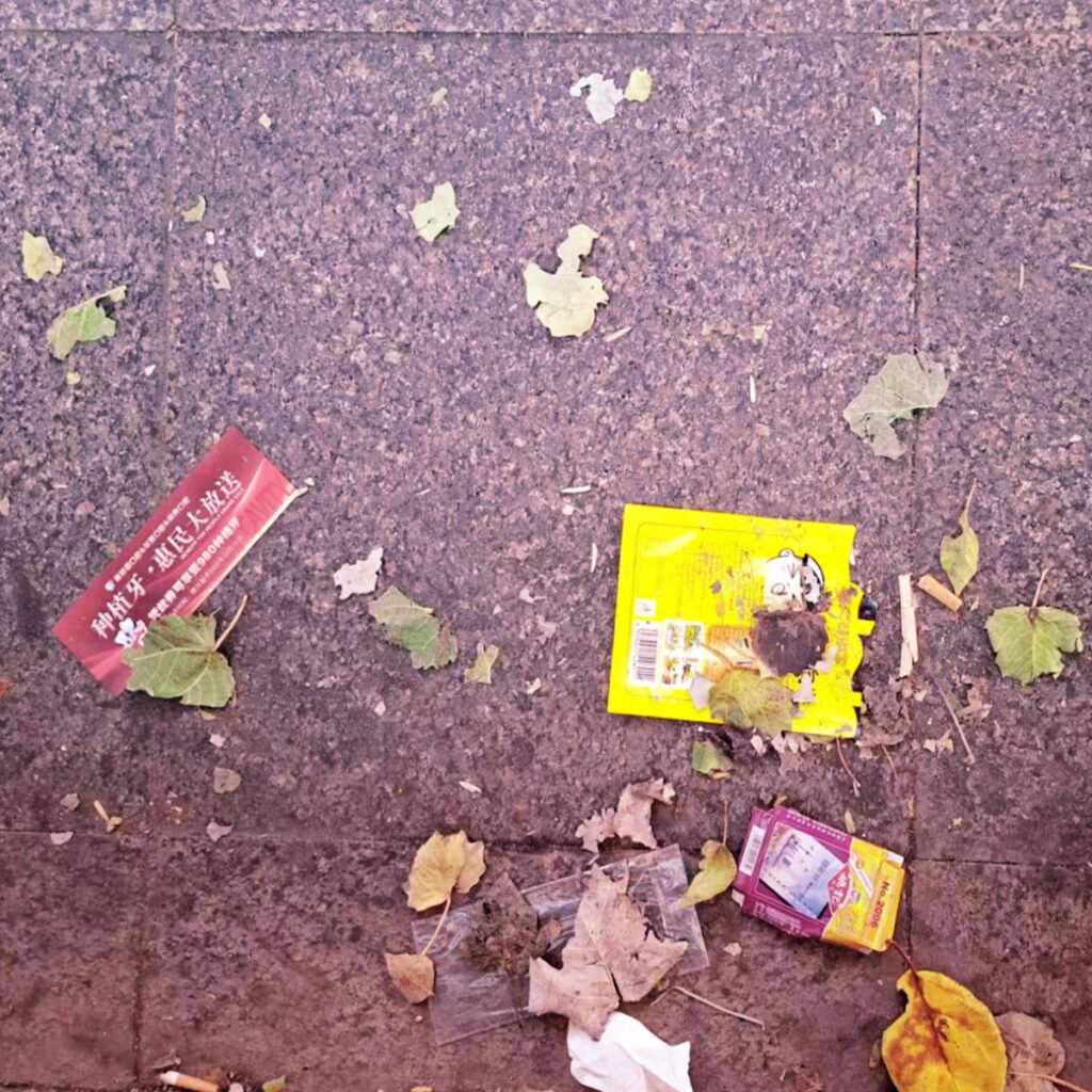 All the Garbage in Siping