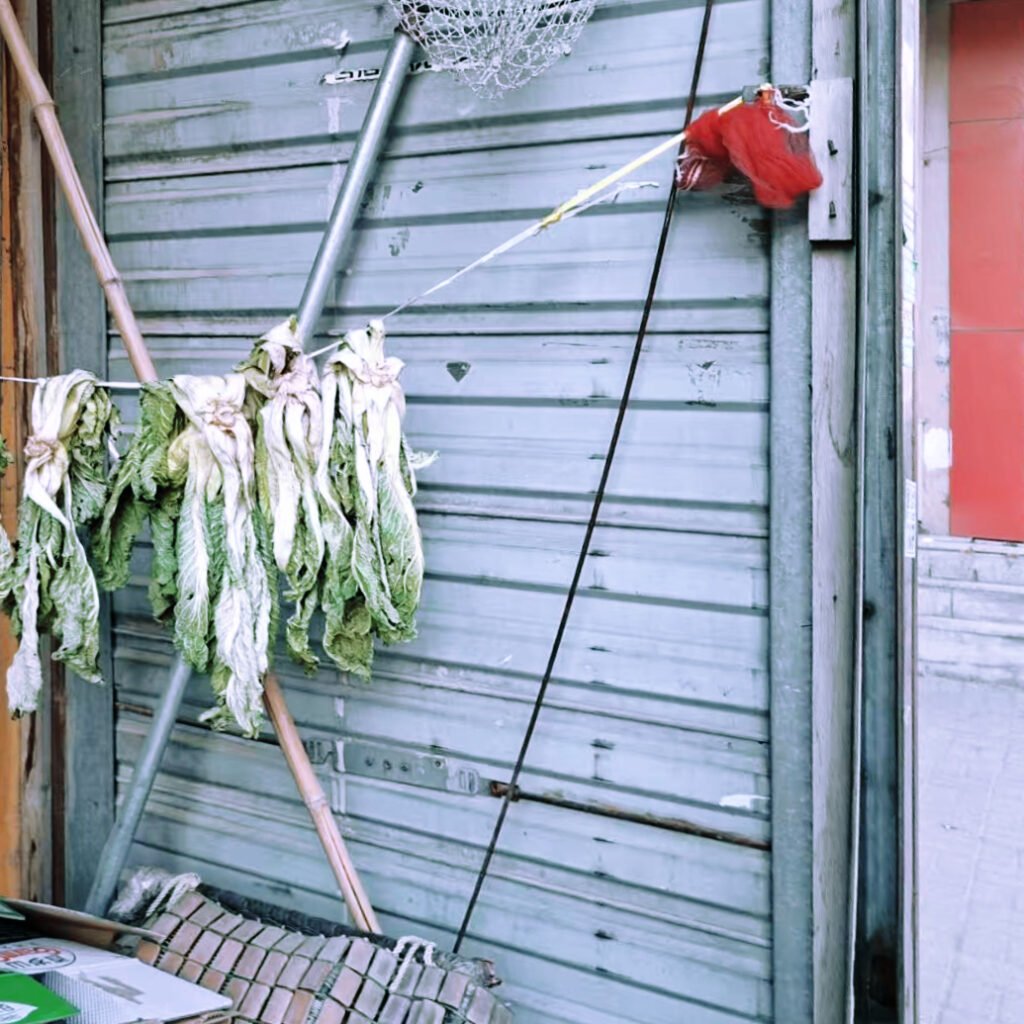 Outside Fridges in Northeast China