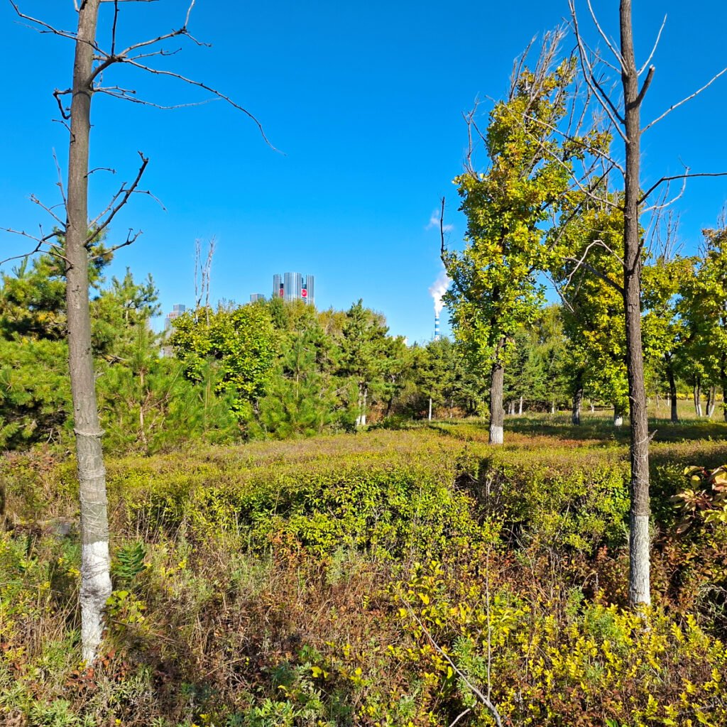 The Botanical Garden in Siping
