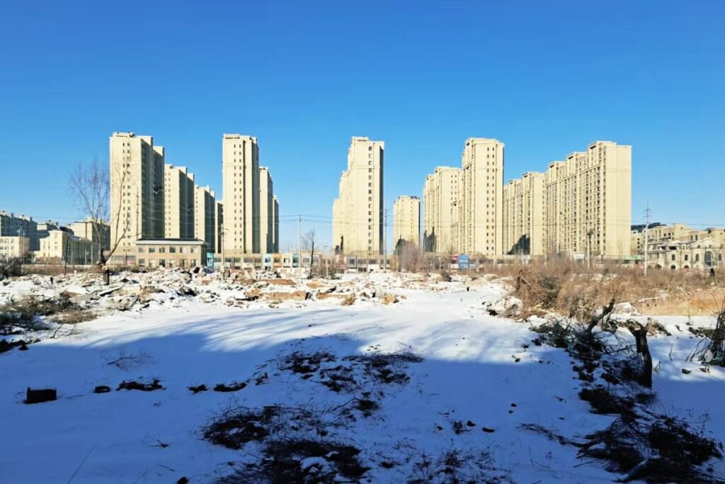 What I’ve Been up to Lately