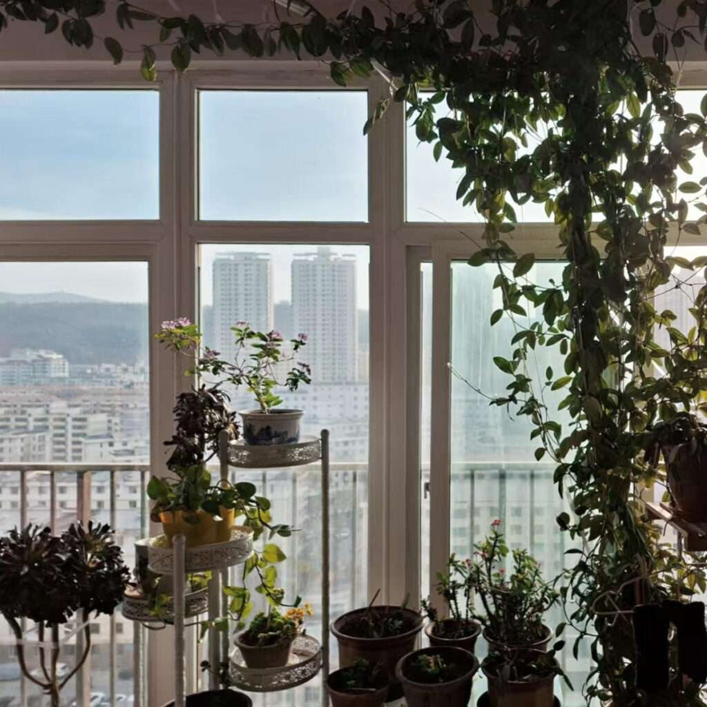 Making a Dream Come True: Visiting Labrang Monastery