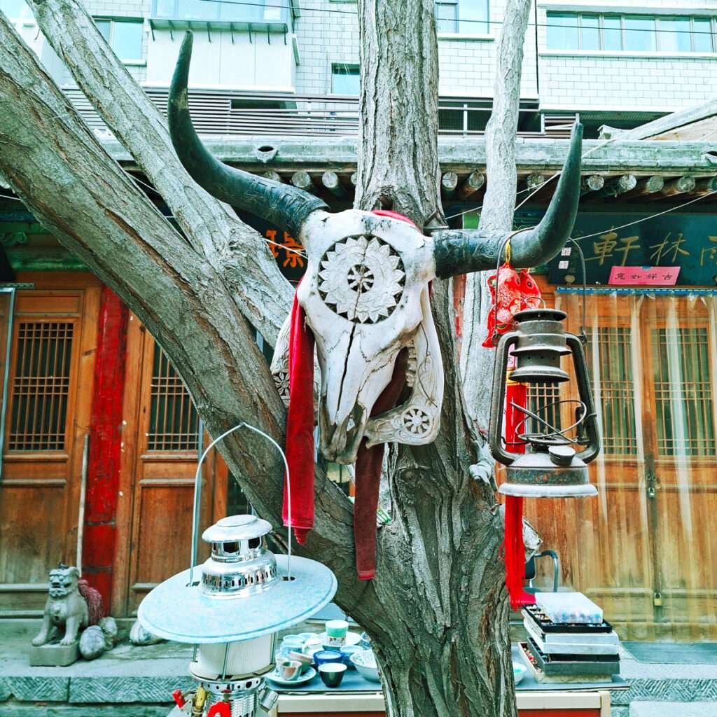 Animal skull with large horns mounted on a tree, red cloth draped, lantern hanging nearby, in front of a traditional storefront with Chinese signage.