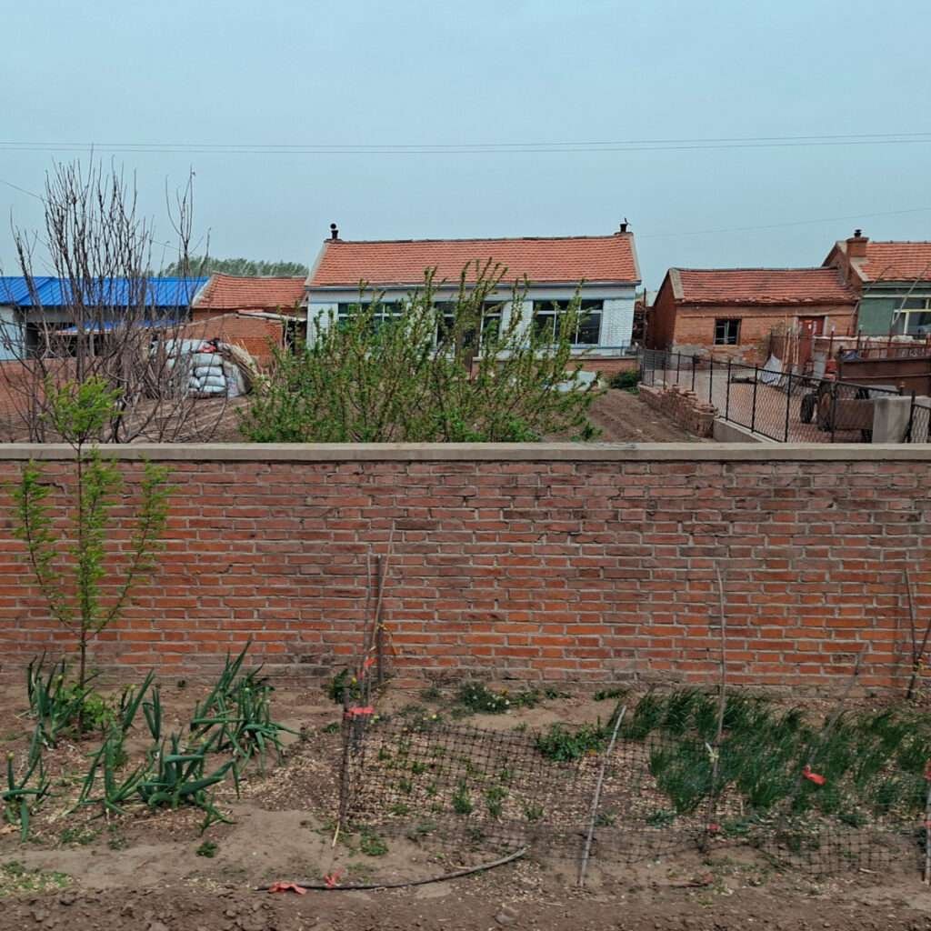 Brick wall in the foreground with a tidy backyard garden, budding trees, and a row of red-tiled roof houses in the distance under a blue sky.