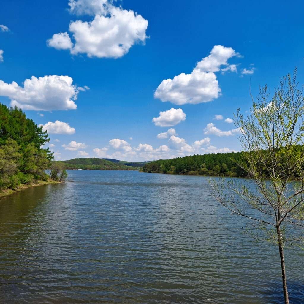 Calm lake bordered by green trees under a bright blue sky with fluffy white clouds.