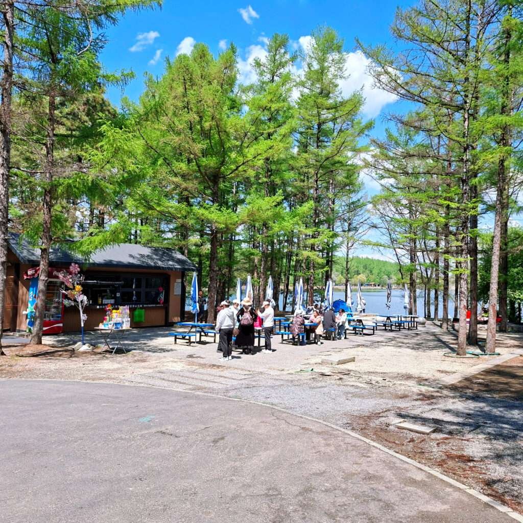 A small kiosk by a forested lakeside with people gathered around tables and blue umbrellas under tall green trees on a sunny day.