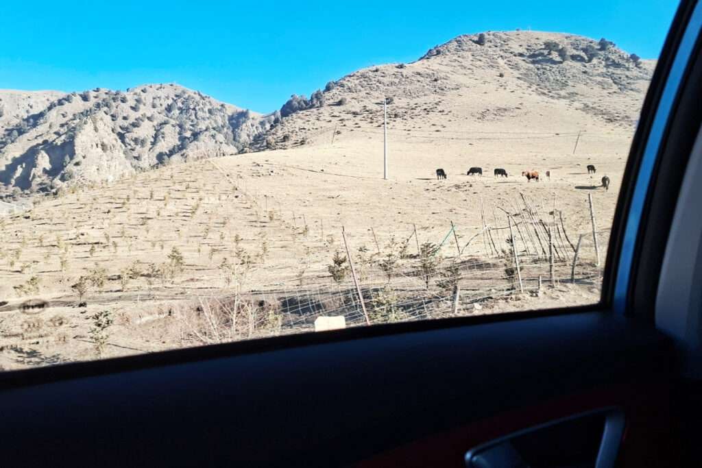 Dumplings and Yaks: My Finished Memoir