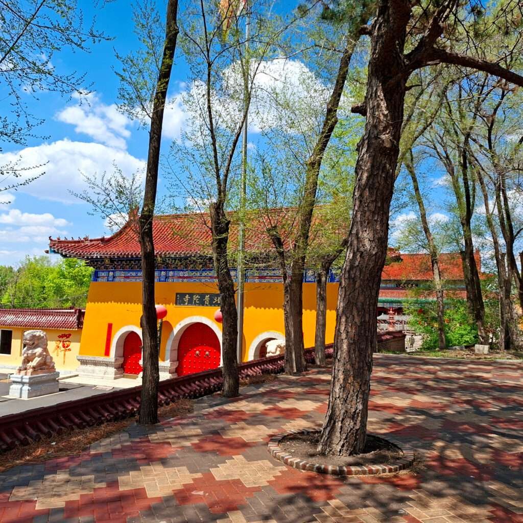 Bright yellow Chinese temple wall with red doors, blue decorative band, and a red-tiled roof, partially obscured by trees on a sunny day