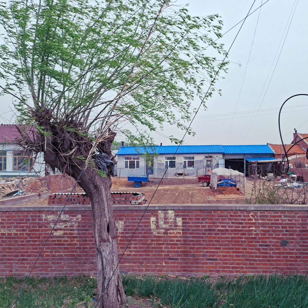 A gnarled tree trunk in the foreground beside a brick wall, with a construction yard and blue-roofed buildings beyond. Wires cross the scene.