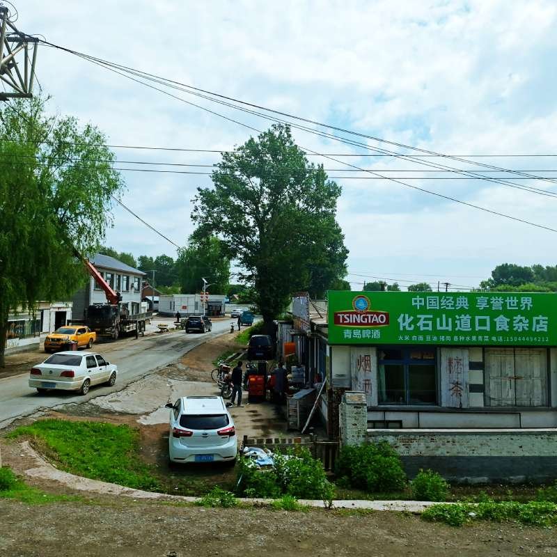 Street view of a Chinese town with a green storefront sign, cars parked along a dirt road, and a large central tree over overhead wires