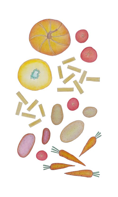 vegetables (illustration) - Ruth Silbermayr